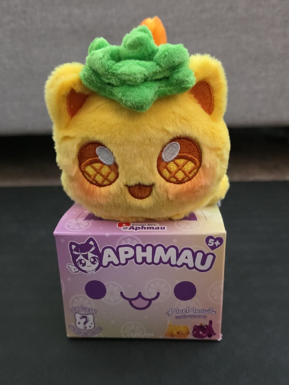 Aphmau Meemeows Pineapple Cat Fruit Cats Limited Edition